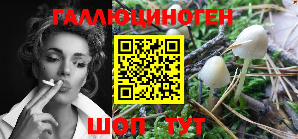 Галлюциногенные грибы Magic Shrooms Октябрьский